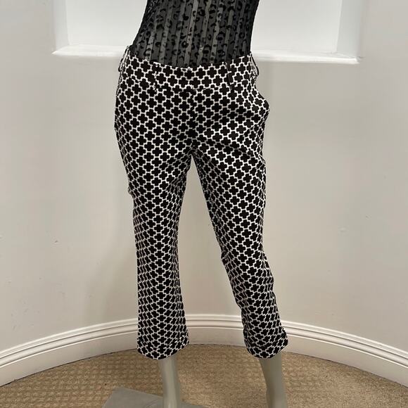 Lizzie Driver Women Firenze Pants Cropped Printed Size 0 Size 2 NWT - Picture 1 of 12